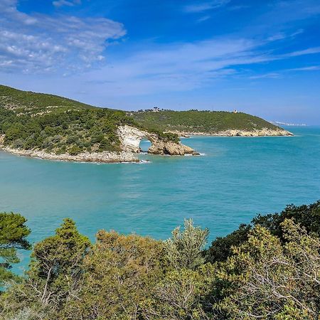 Villa Mapa - Appartamenti Vicino Al Mare Vieste Kültér fotó